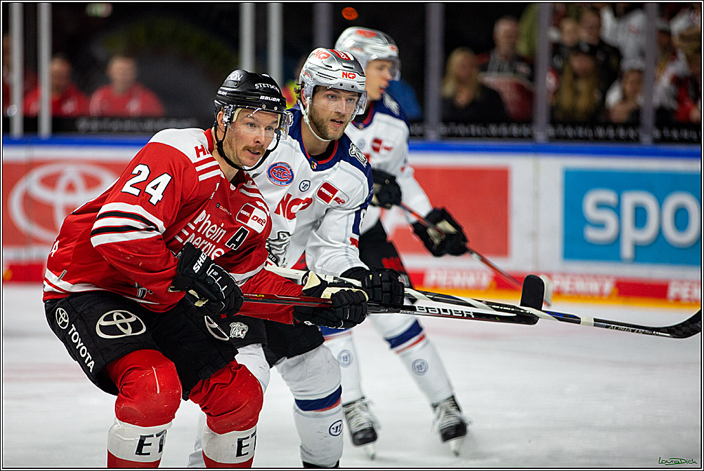 PENNY DEL; Koelner Haie- Nuernberger Ice Tigers; Koeln, 18.11.2022